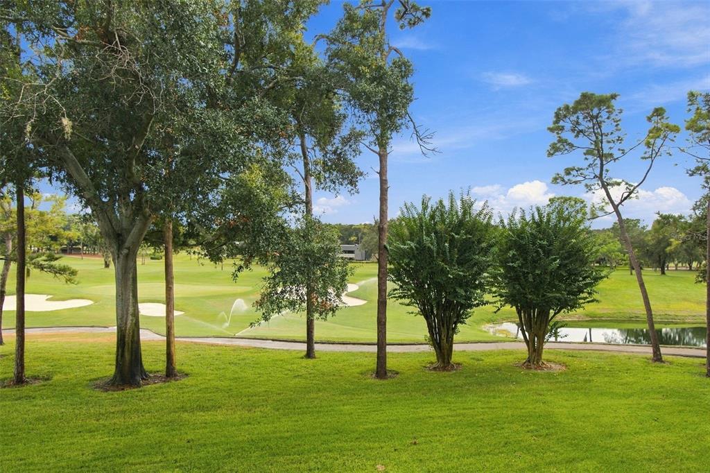 36750 US HIGHWAY 19 N UNIT 13217, PALM HARBOR, FL — photo 5 of 30
