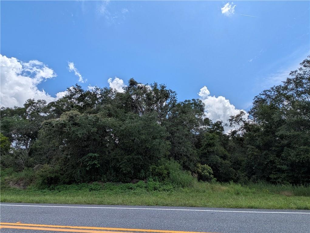 6451 N Carl G Rose HIGHWAY, HERNANDO, FL — photo 4 of 15