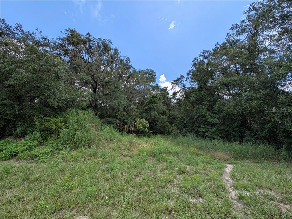 6451 N Carl G Rose HIGHWAY, HERNANDO, FL — photo 5 of 15