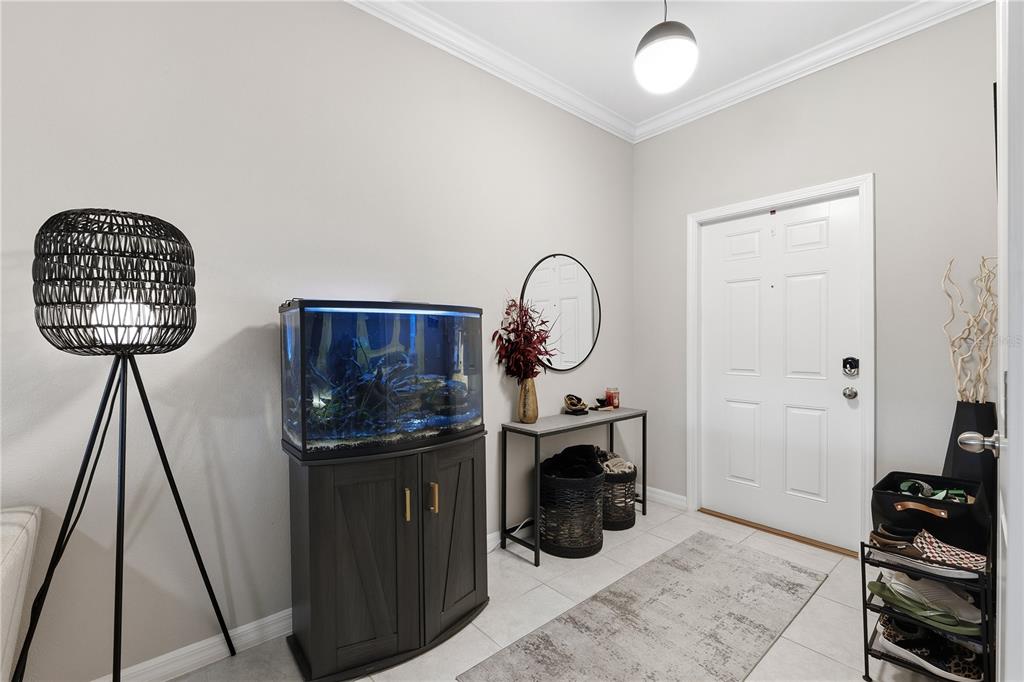 An entryway features a fish tank, a console table, a floor lamp, and a shoe rack — 23217 WILLOW GLEN WAY, LUTZ, FL