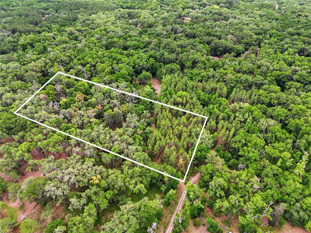 An aerial view shows a rectangular plot of land outlined in white amidst dense forest — 7911 SW 131ST TERRACE, ARCHER, FL