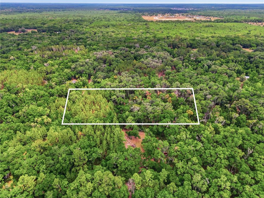An aerial view shows a rectangular white outline marking a wooded plot of land — 7911 SW 131ST TERRACE, ARCHER, FL