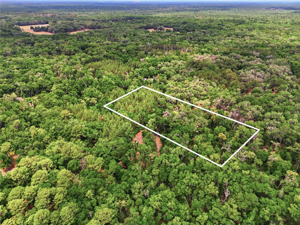 An aerial view shows a rectangular plot of land outlined in white amidst dense forest — 7911 SW 131ST TERRACE, ARCHER, FL