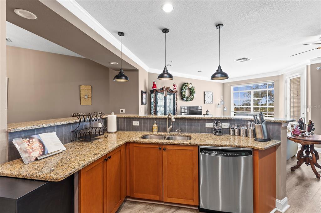 A kitchen features wood cabinets, granite countertops, a stainless steel dishwasher, and three pendant lights — 6319 SUNSET BAY CIRCLE, APOLLO BEACH, FL