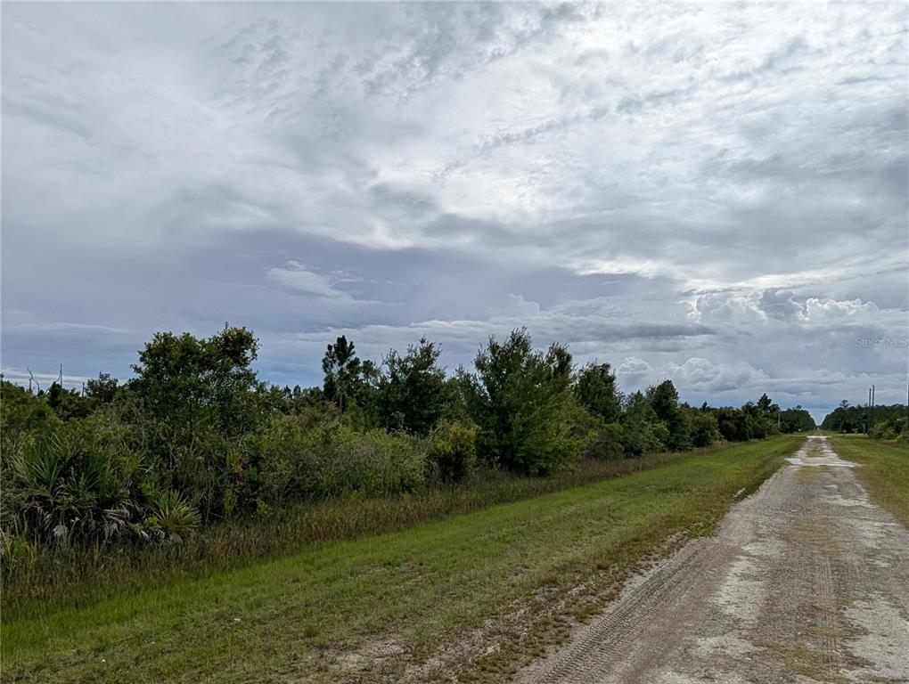 A dirt road runs alongside a grassy field bordered by a line of trees — 513 CALENDULA DRIVE, INDIAN LAKE ESTATES, FL