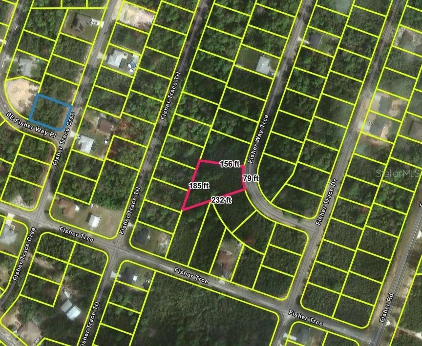 A vacant, partially cleared lot with scattered trees and shrubs borders a paved road — FISHER WAY TRACK, OCKLAWAHA, FL