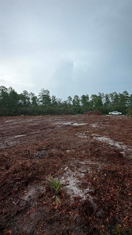 A partially cleared, wooded vacant lot sits adjacent to a paved road under a blue sky — FISHER WAY TRACK, OCKLAWAHA, FL