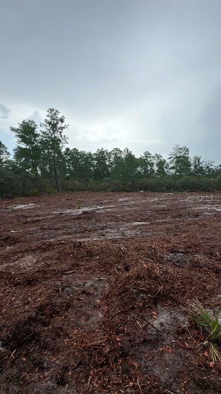 A vacant, partially cleared lot with scattered trees sits adjacent to an asphalt road — FISHER WAY TRACK, OCKLAWAHA, FL