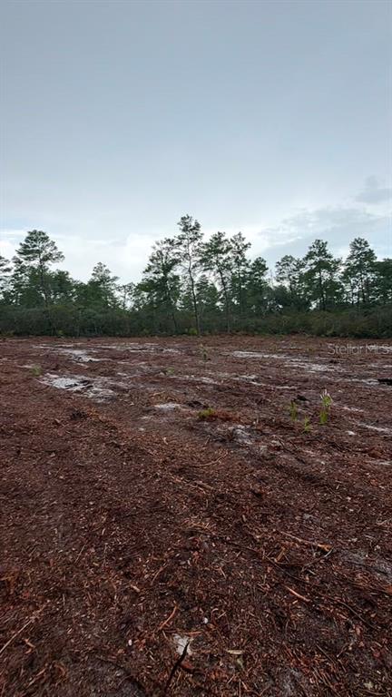 This is an aerial map showing a vacant lot outlined in pink with its dimensions — FISHER WAY TRACK, OCKLAWAHA, FL