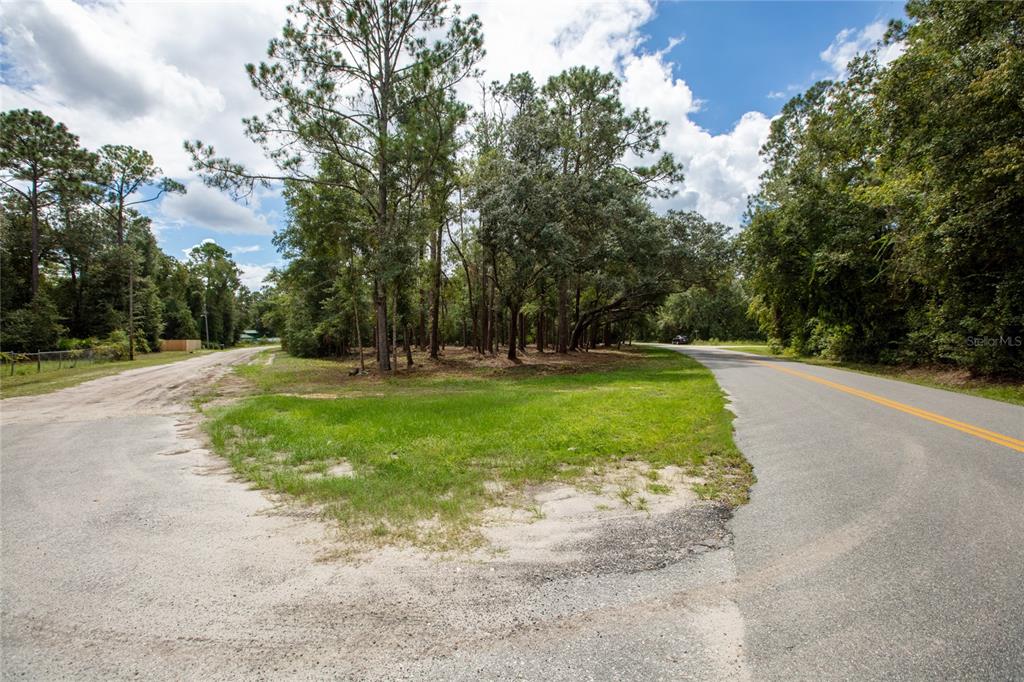 W HILLSBOROUGH AVENUE, FLORAHOME, FL — photo 3 of 18