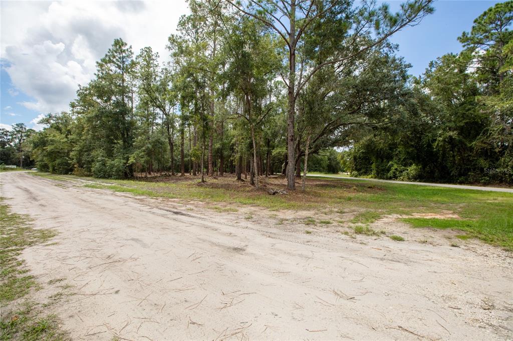 W HILLSBOROUGH AVENUE, FLORAHOME, FL — photo 4 of 18