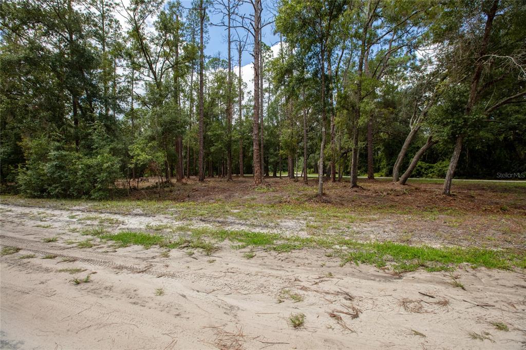 W HILLSBOROUGH AVENUE, FLORAHOME, FL — photo 5 of 18