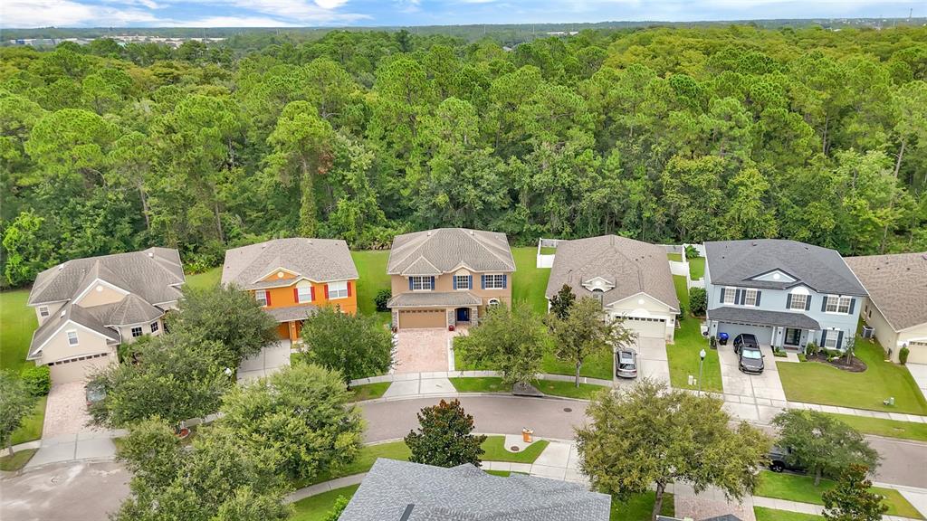 An aerial view of several suburban houses with driveways bordering a dense forest — 1127 CRANE CREST WAY, ORLANDO, FL