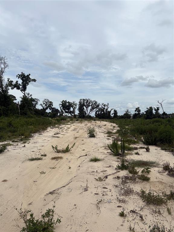 A sandy, undeveloped lot with sparse vegetation and a line of trees in the distance — 7200 E HIGHWAY 25, BELLEVIEW, FL