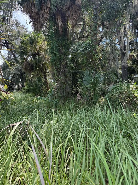 0 MEDULLA ROAD, LAKELAND, FL — photo 2 of 7