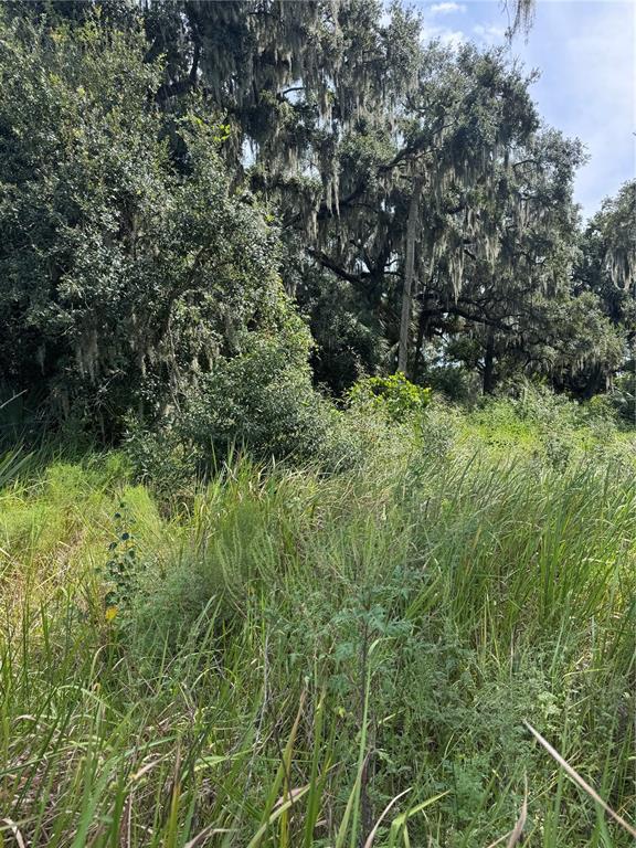 0 MEDULLA ROAD, LAKELAND, FL — photo 3 of 7