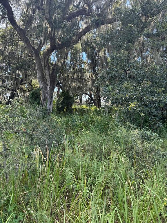 0 MEDULLA ROAD, LAKELAND, FL — photo 4 of 7