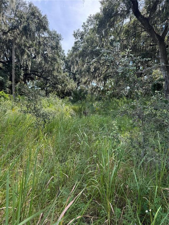 0 MEDULLA ROAD, LAKELAND, FL — photo 5 of 7