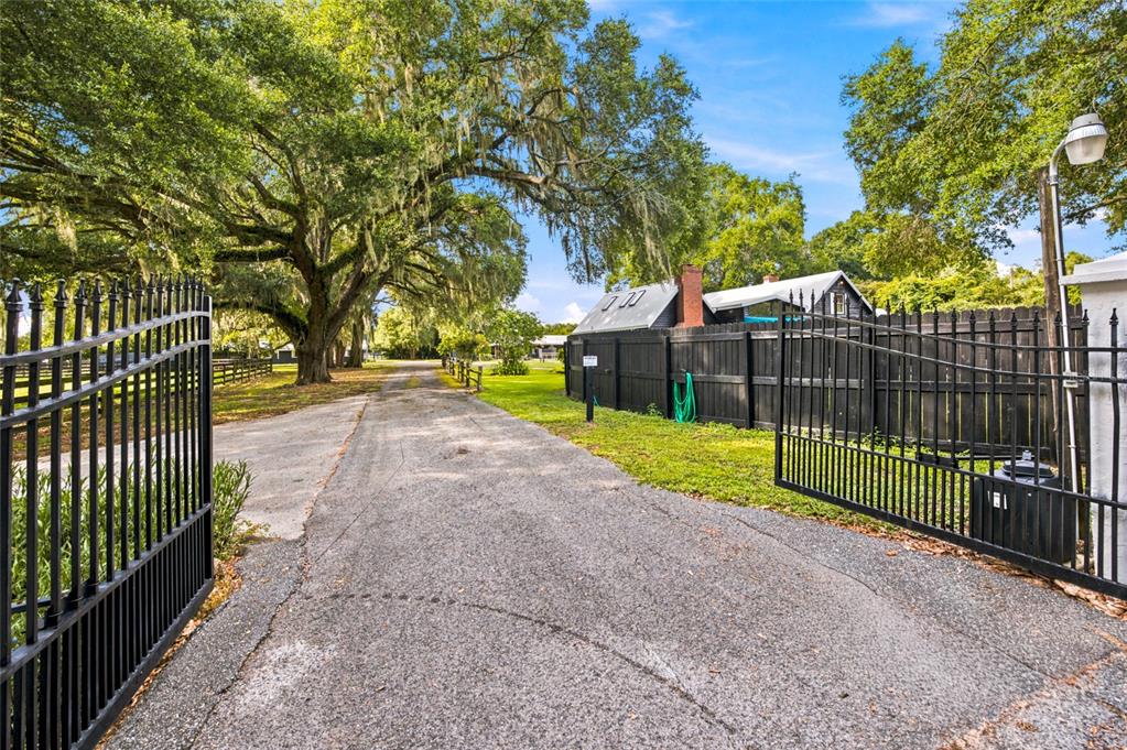 An open black metal gate leads to a paved driveway lined by large oak trees — 3825 NW 160TH STREET, REDDICK, FL