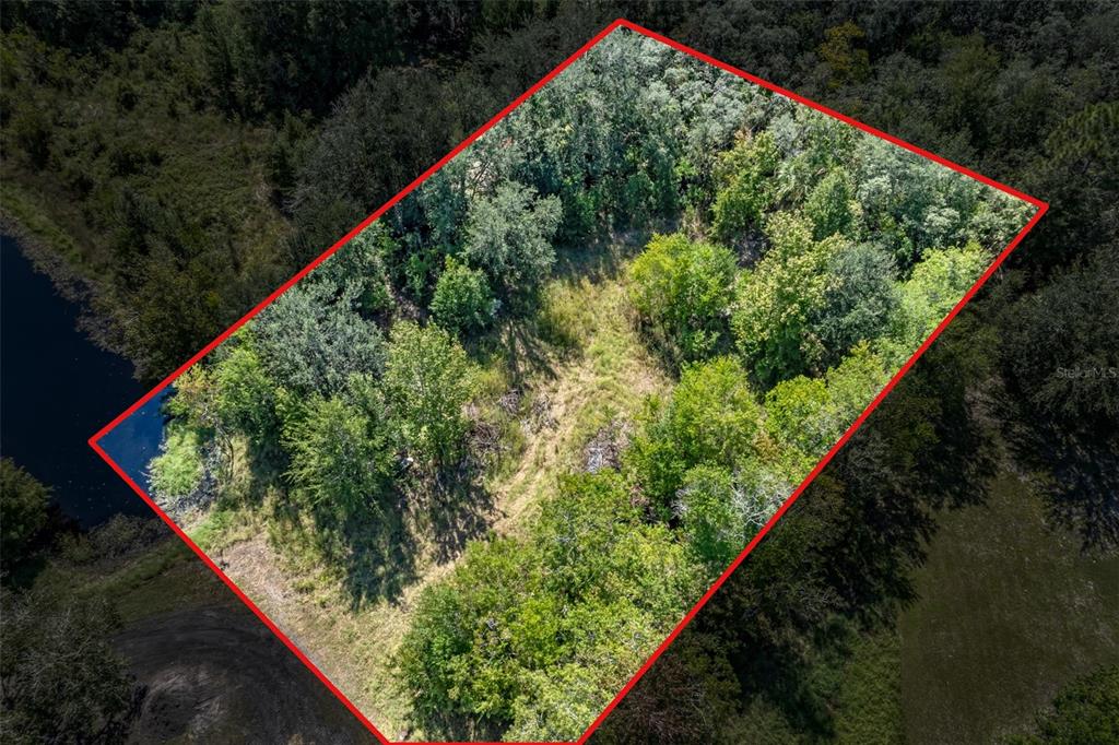 5031 S LOUISE POINT, HOMOSASSA, FL — photo 2 of 30
