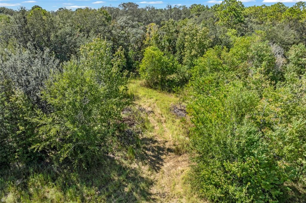5031 S LOUISE POINT, HOMOSASSA, FL — photo 4 of 30