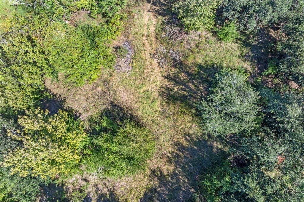 5031 S LOUISE POINT, HOMOSASSA, FL — photo 5 of 30