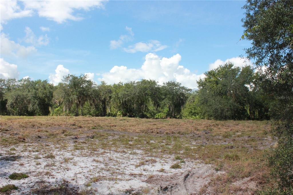 DEER ROAD, FROSTPROOF, FL — photo 5 of 22