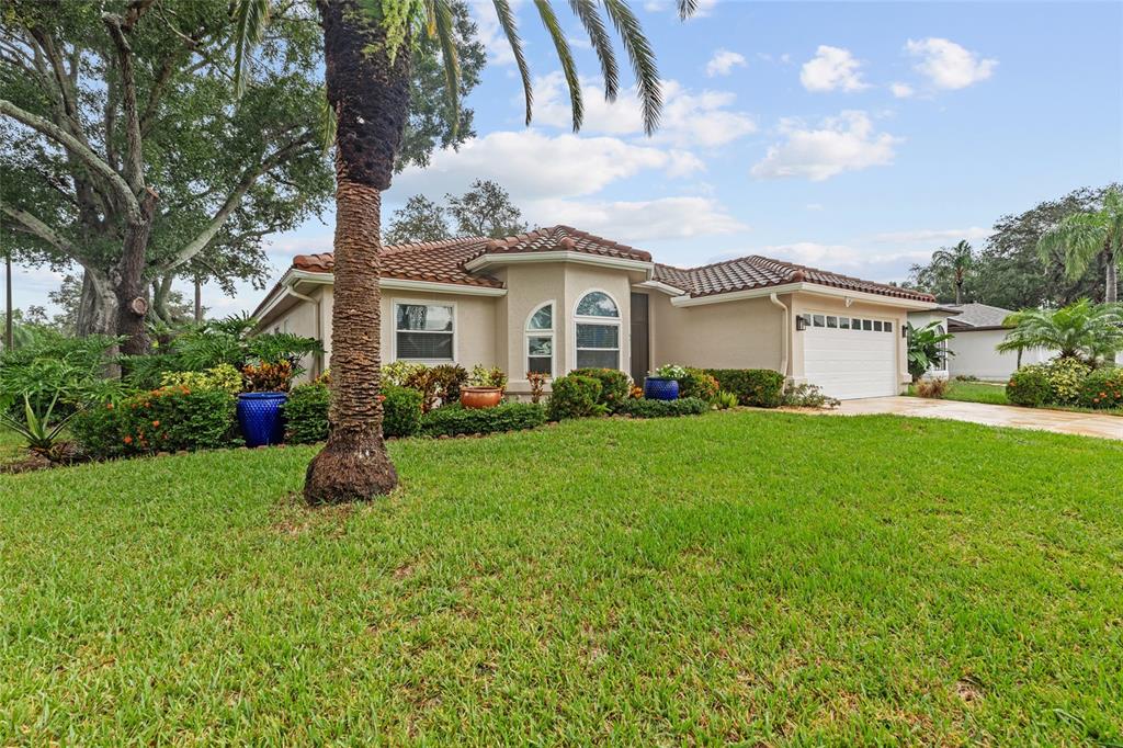 4897 HARBOR WOODS DRIVE, PALM HARBOR, FL — photo 3 of 30