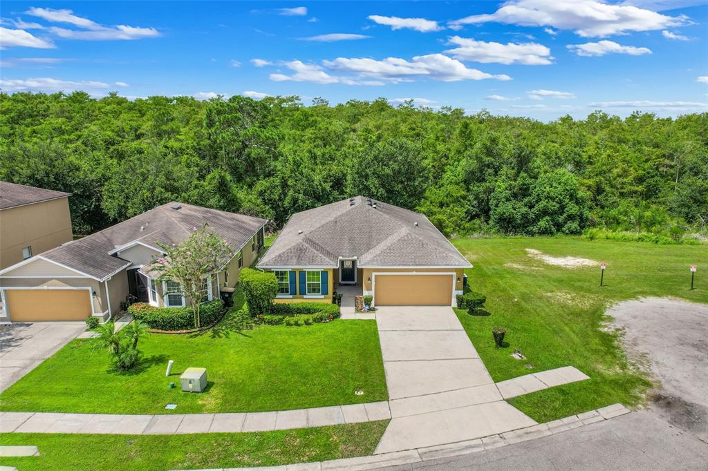 An aerial view shows two suburban houses with attached garages and lawns bordering a forest — 221 DAIGLEDOG STREET, ST CLOUD, FL