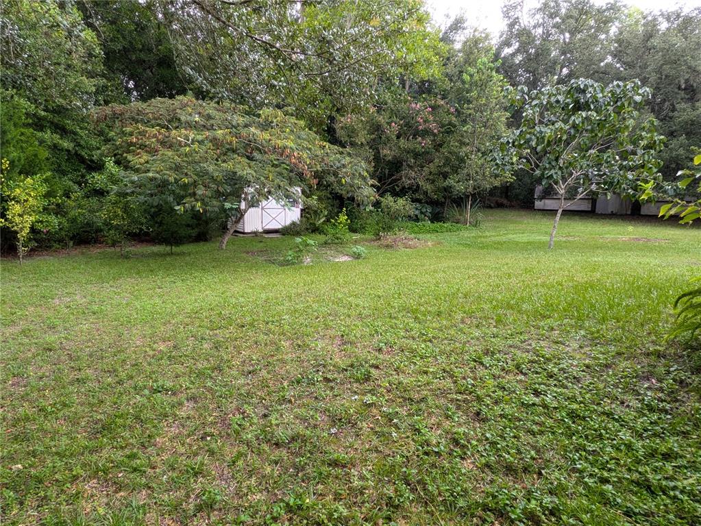 A single-story house with a white stucco exterior, a patio, and a grassy yard — 4316 SW DEEPWATER COURT, DUNNELLON, FL