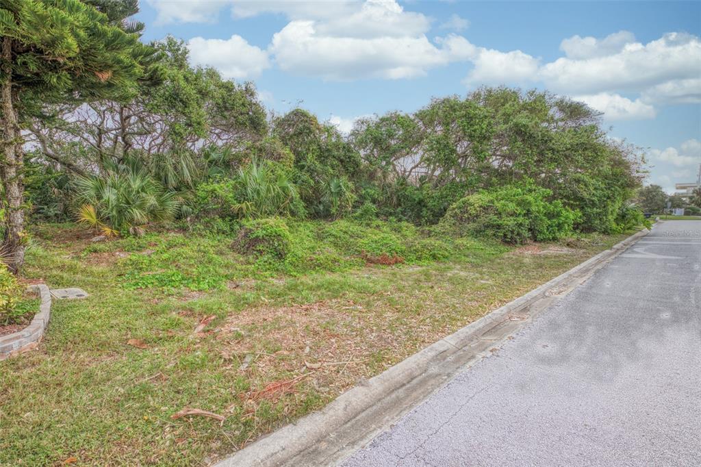 A vacant, overgrown residential lot sits adjacent to a paved street with a concrete curb — 62 BUSCHMAN DRIVE, PONCE INLET, FL