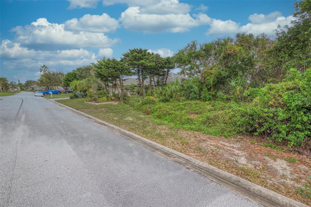 A paved street runs alongside a vacant, overgrown residential lot with trees and shrubs — 62 BUSCHMAN DRIVE, PONCE INLET, FL
