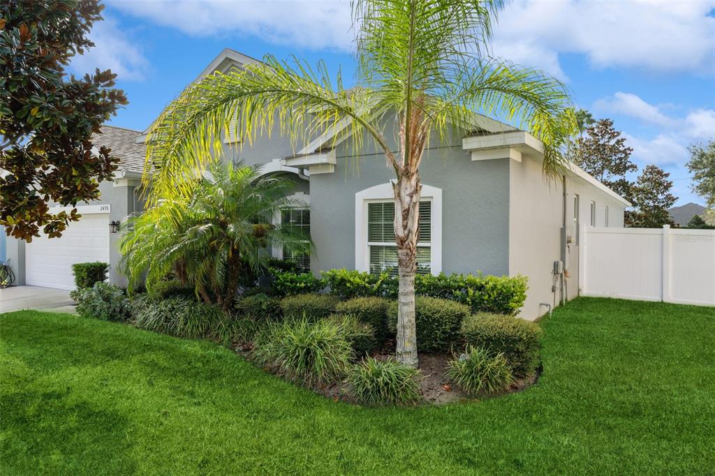 2496 PLUMADORE DRIVE
