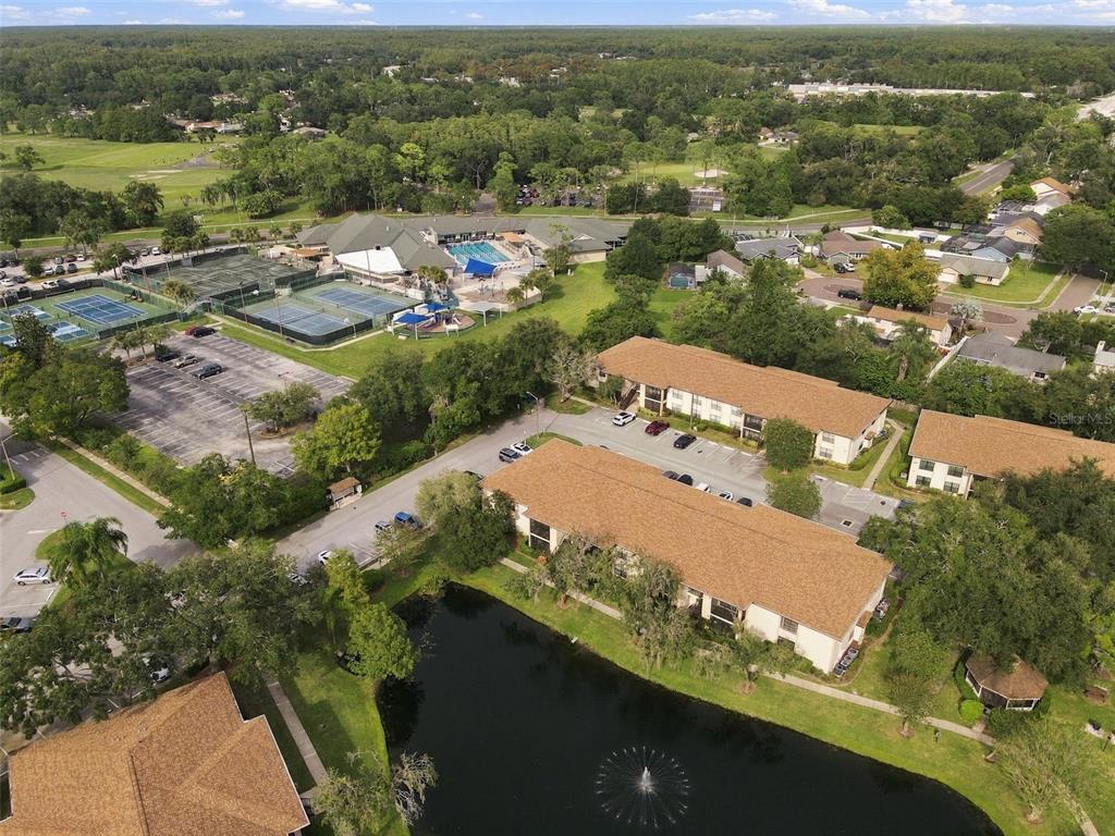 3380 CRYSTAL COURT E UNIT P, PALM HARBOR, FL — photo 5 of 30