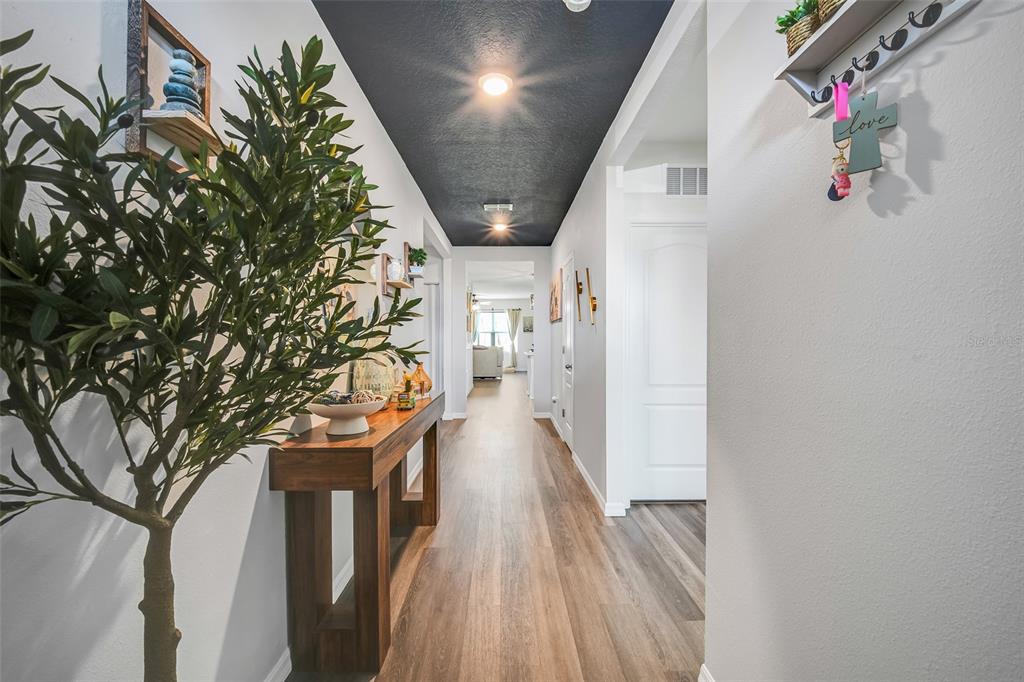 A hallway features a dark ceiling, wood-look flooring, a wooden console table, and a potted plant — 5457 HAYLOFT DRIVE, APOPKA, FL