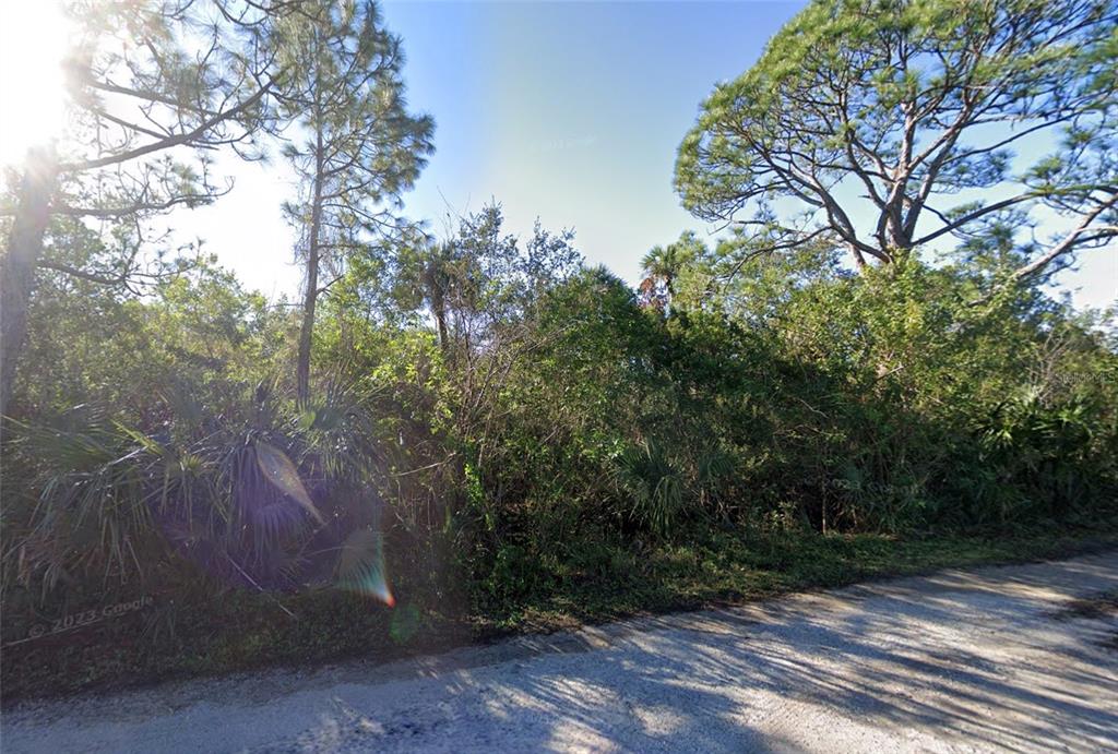A dirt road runs alongside a dense, wooded lot filled with trees and thick vegetation — 5535 SIMPSON PLACE, COCOA, FL