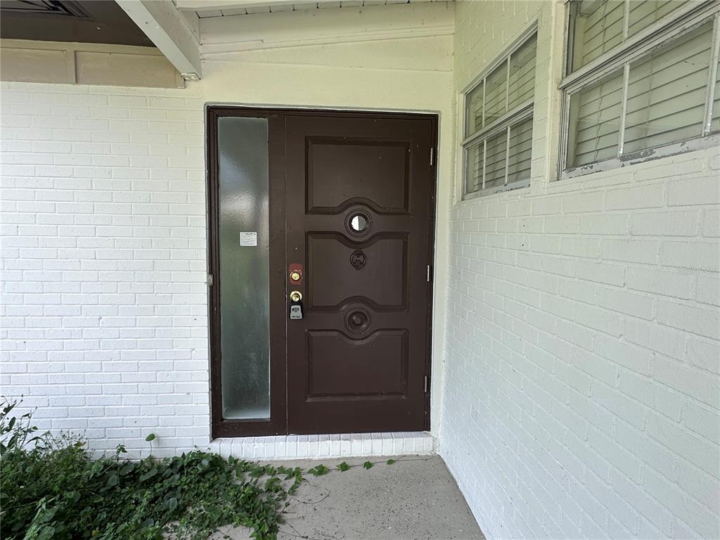 A dark brown front door with two circular windows sits beside a white brick wall — 503 BROXBURN AVENUE, TEMPLE TERRACE, FL