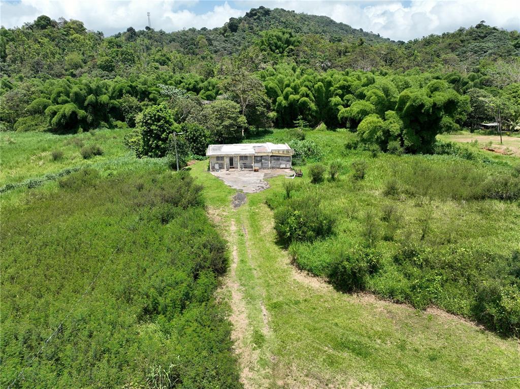 PR-181 BARRIO QUEBRADA HONDA