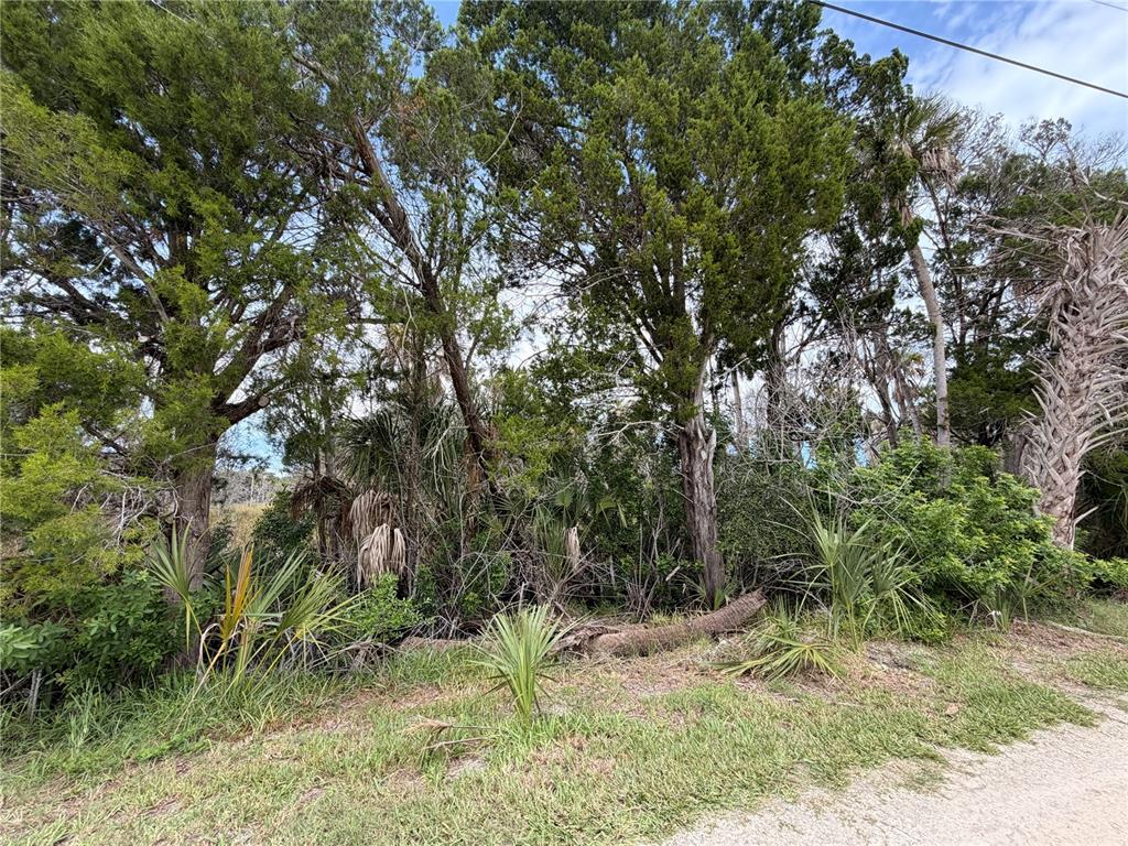 11975 W WATERWOOD DRIVE, CRYSTAL RIVER, FL — photo 2 of 10