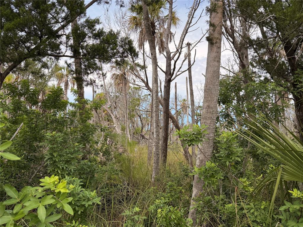 11975 W WATERWOOD DRIVE, CRYSTAL RIVER, FL — photo 3 of 10