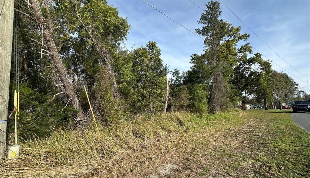 A wooded, undeveloped lot sits adjacent to a paved road under a clear blue sky — 0 OLIVE CIRCLE, OCALA, FL