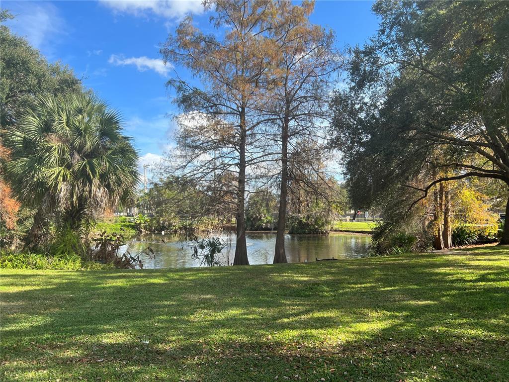 A grassy lawn leads to a pond surrounded by tall trees under a blue sky — 731 MIDGET DRIVE, WINTER PARK, FL