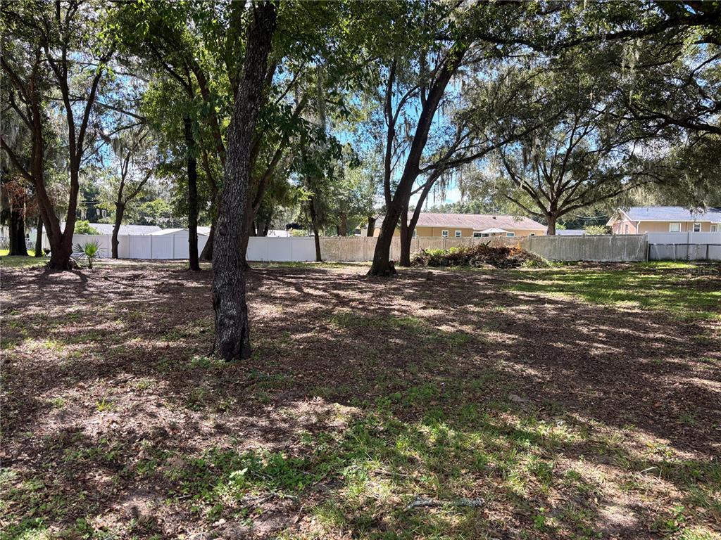 11708 SE 129TH PLACE, OCKLAWAHA, FL — photo 2 of 3