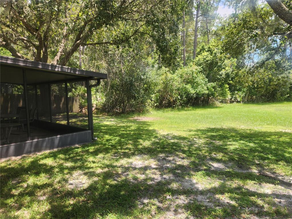 A screened-in porch overlooks a grassy backyard bordered by dense trees and foliage — 3242 ERSKINE DRIVE, ORLANDO, FL