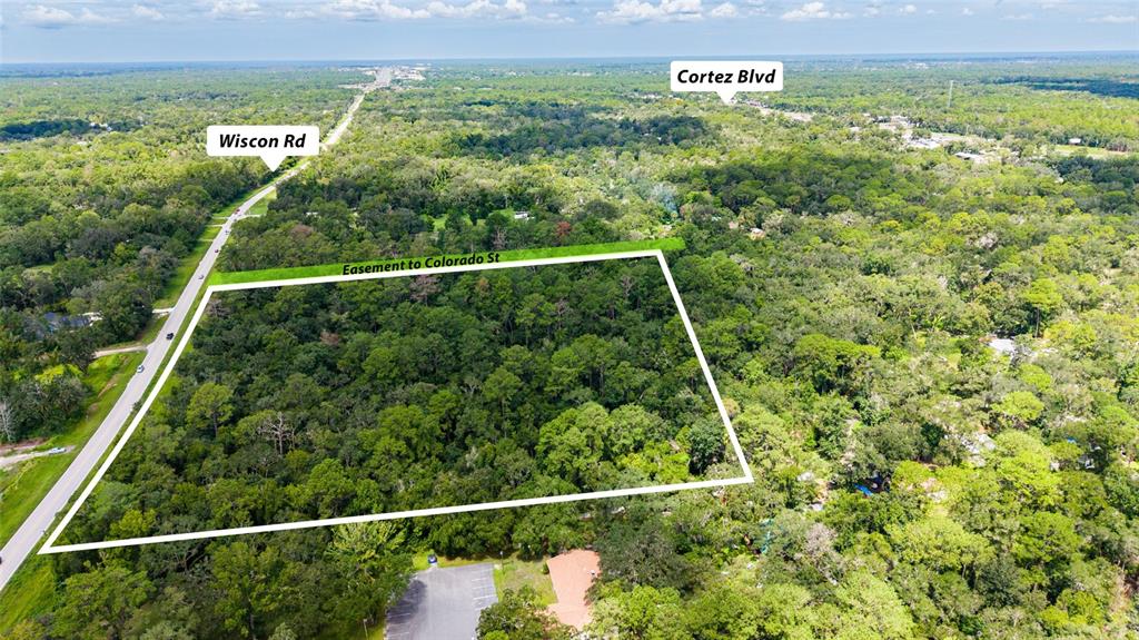 An aerial view shows a rectangular wooded lot outlined in white next to a road — 10.30 Acres WISCON ROAD, BROOKSVILLE, FL