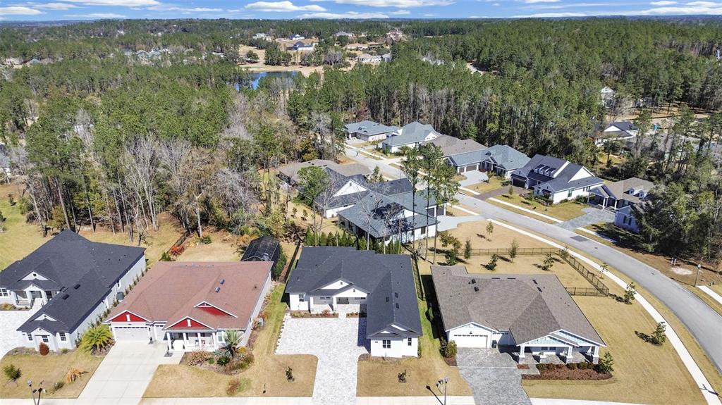 An aerial view shows several suburban houses with paved driveways surrounded by dense forest — 4716 HICKORY OAK DRIVE, BROOKSVILLE, FL