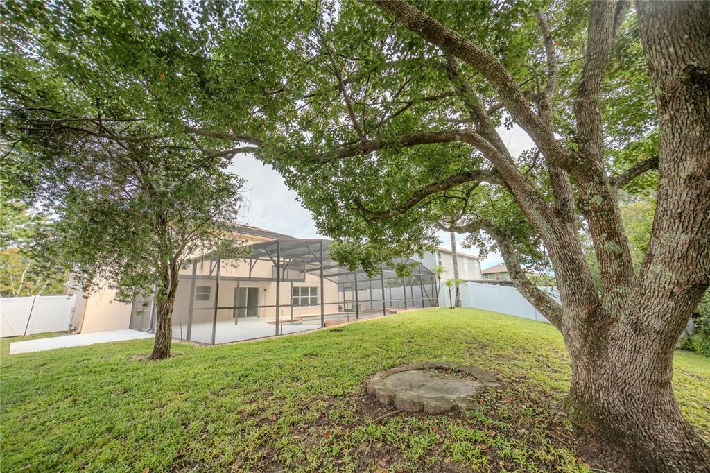 14208 ABINGTON HEIGHTS DRIVE, ORLANDO, FL — photo 4 of 36