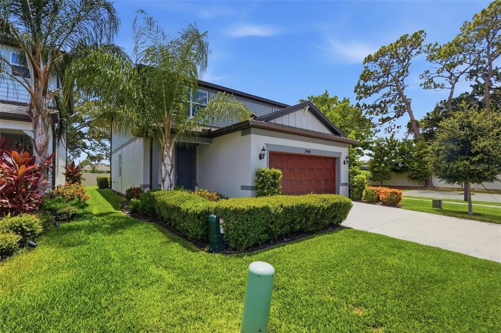 A two-story house with a brown garage door, a manicured hedge, and a palm tree — 2949 PIER POINTE LANE, CLEARWATER, FL