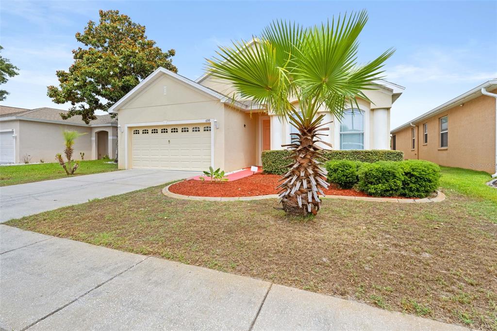 A single-story suburban house with a tan exterior, a two-car garage, and a palm tree — 699 WINTHROP DRIVE, SPRING HILL, FL