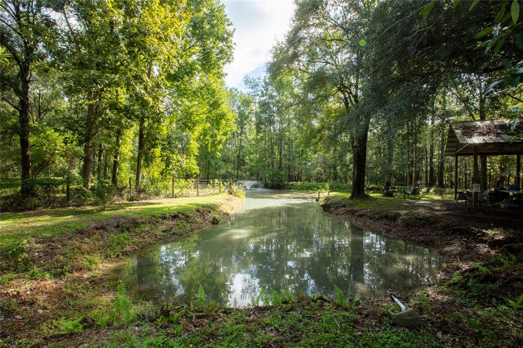 A small pond with a fountain sits in a wooded yard near a covered pavilion — 9284 NW COUNTY ROAD 225, STARKE, FL